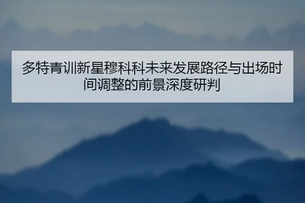 多特青训新星穆科科未来发展路径与出场时间调整的前景深度研判